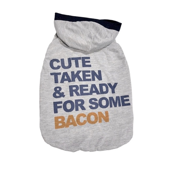 Gray Dog Hoodie with Fun Slogan - Picture 1 of 2